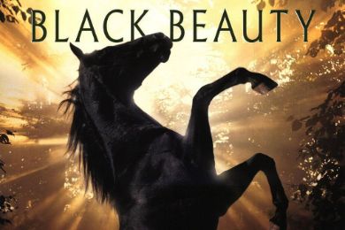 BLACK%20BEAUTY[1]