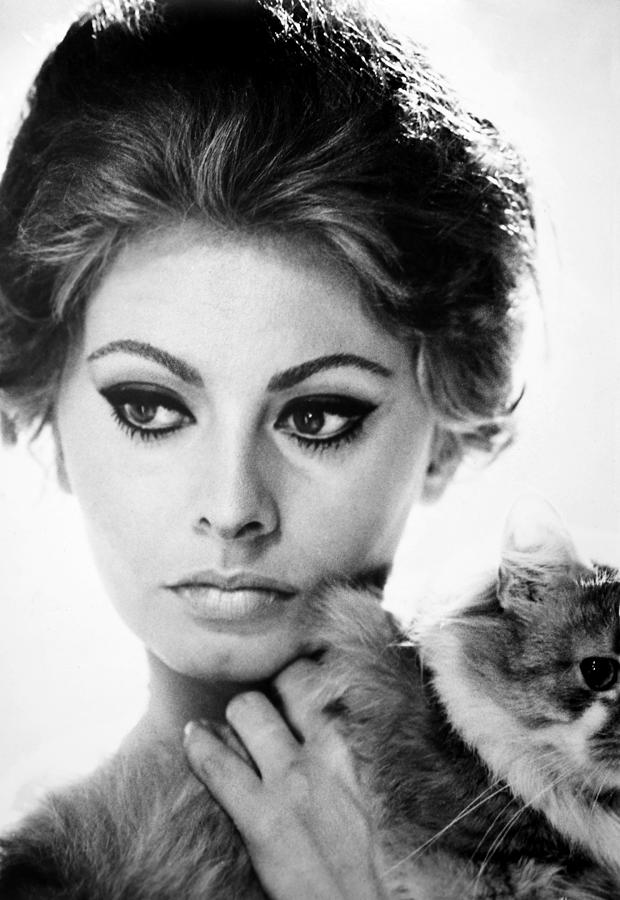 954369-sophia-loren